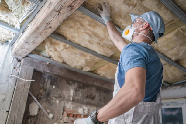 Best Residential Insulation in Victor, ID